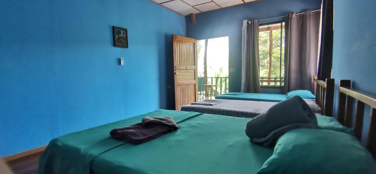 Drakes Bay Allegra Hostel المظهر الخارجي الصورة