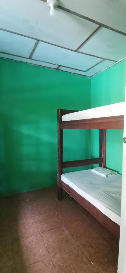 Drakes Bay Allegra Hostel المظهر الخارجي الصورة
