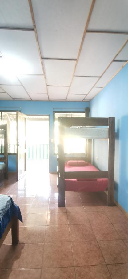 Drakes Bay Allegra Hostel المظهر الخارجي الصورة