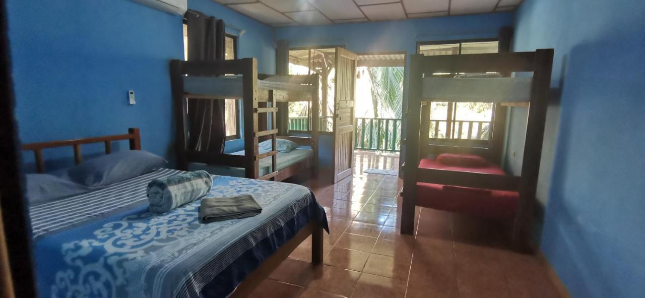 Drakes Bay Allegra Hostel المظهر الخارجي الصورة