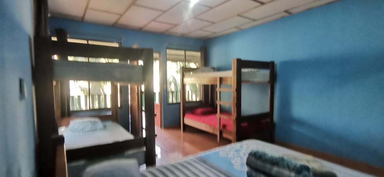 Drakes Bay Allegra Hostel المظهر الخارجي الصورة