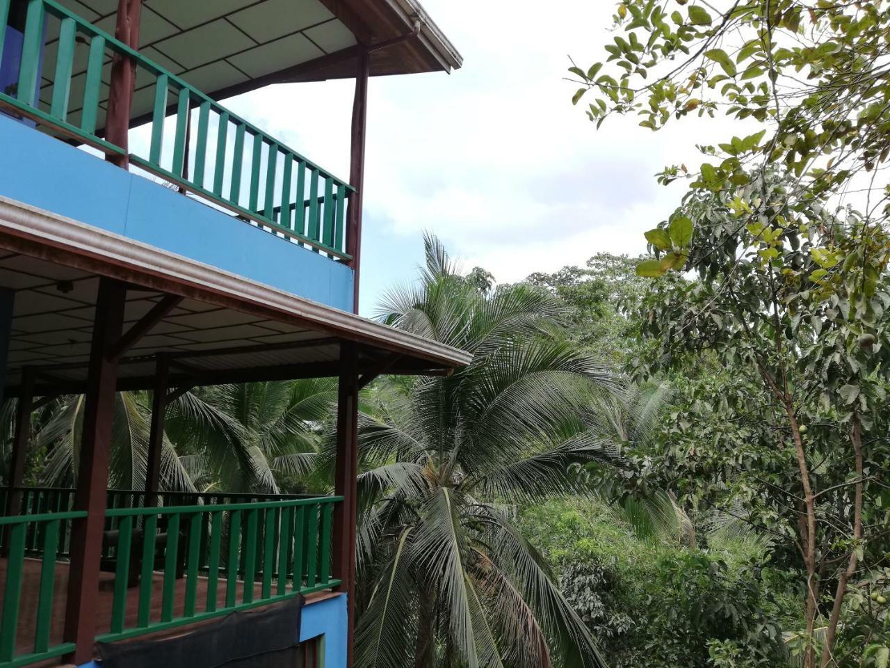 Drakes Bay Allegra Hostel المظهر الخارجي الصورة